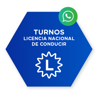 Licencia Profesional